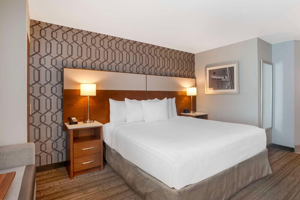 1 King Bed